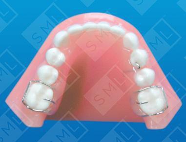 Lower Interim Partial